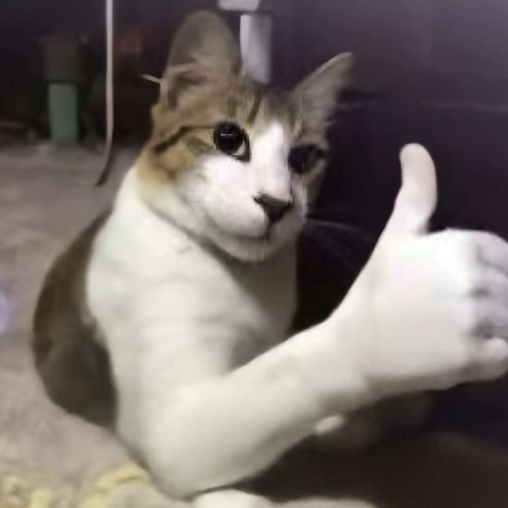 Meet your Posher, Lucian